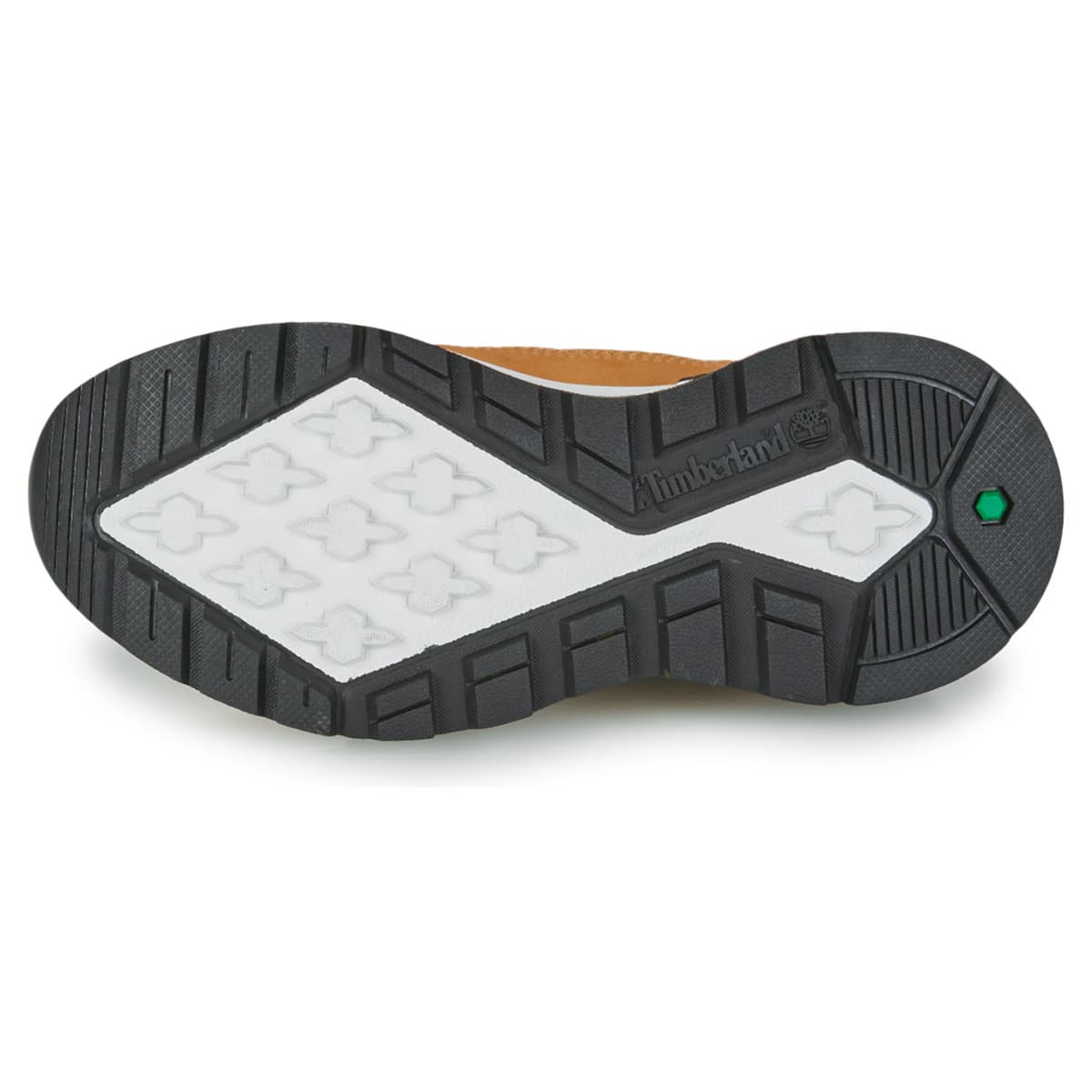 Boys' Sneakers Timberland Brown