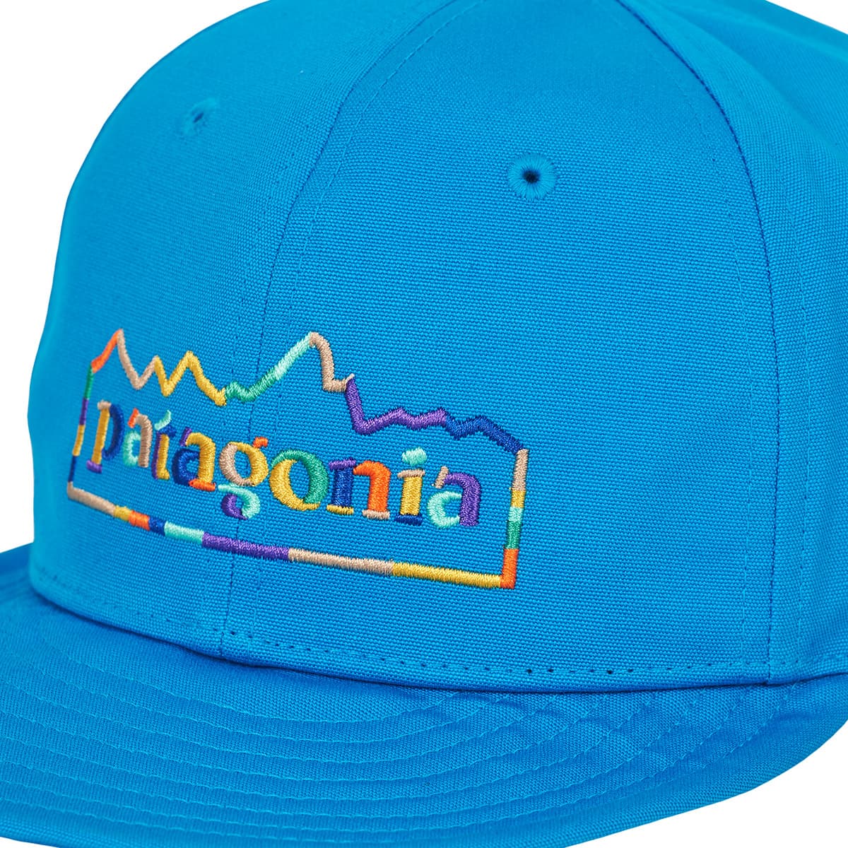 Men's Caps Patagonia Blue