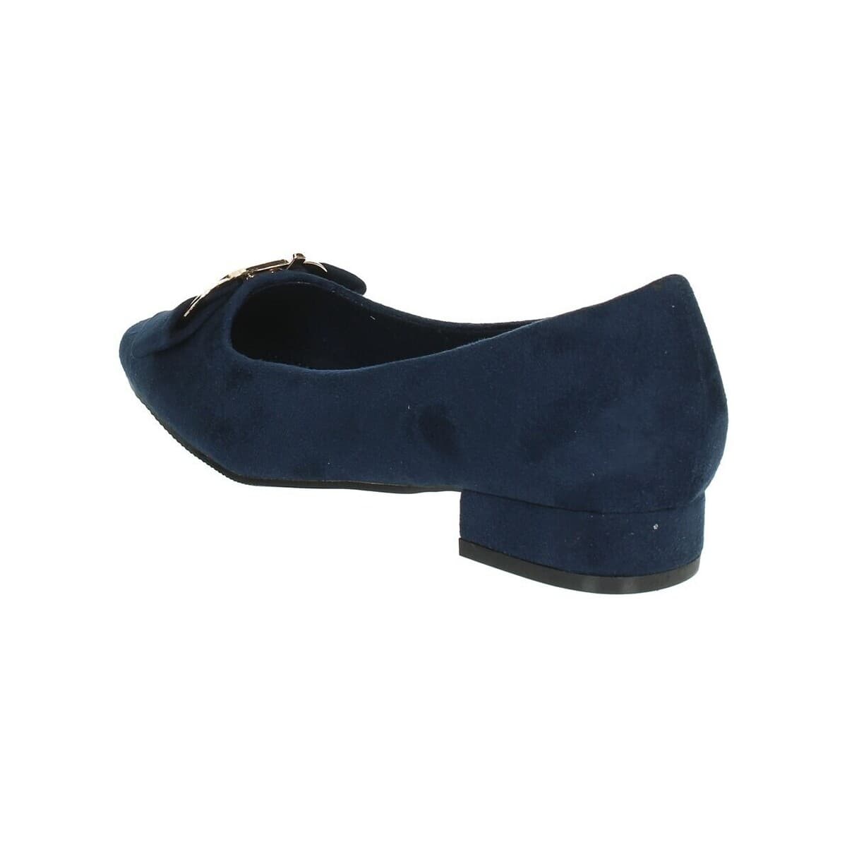 Women's Ballet Flats Laura Biagiotti Blue