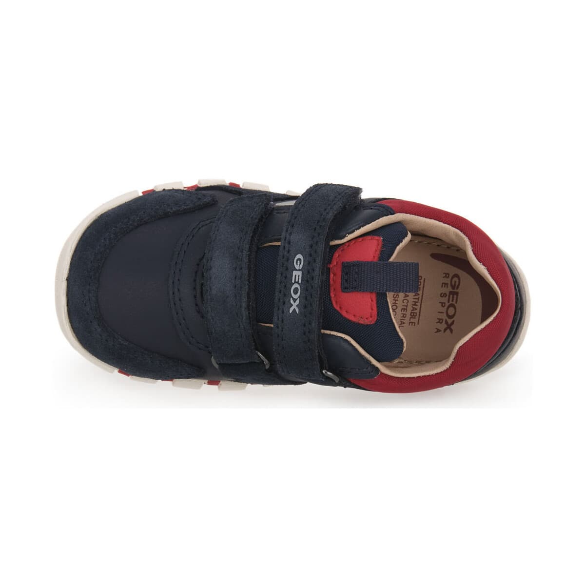 Boys' Sneakers Geox Blue