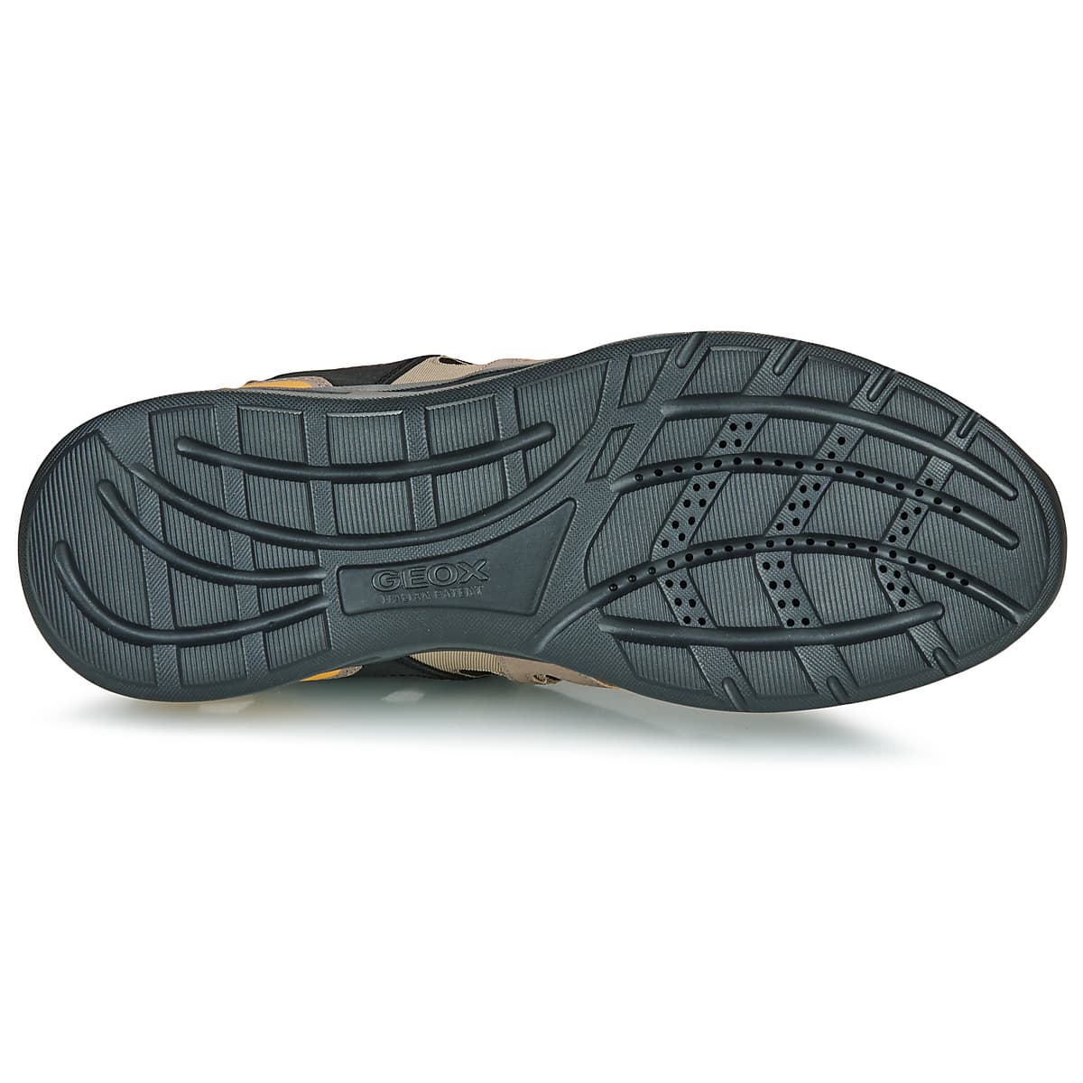 Men's Sports Sandals Geox Brown