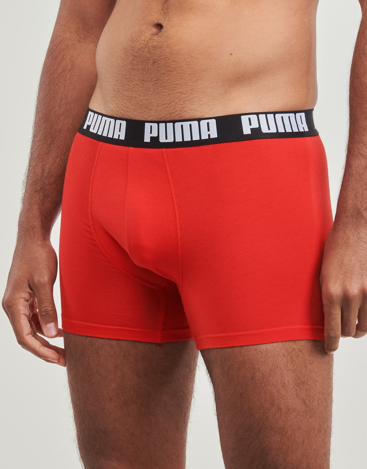 Men's Boxer Briefs Puma Multicolor