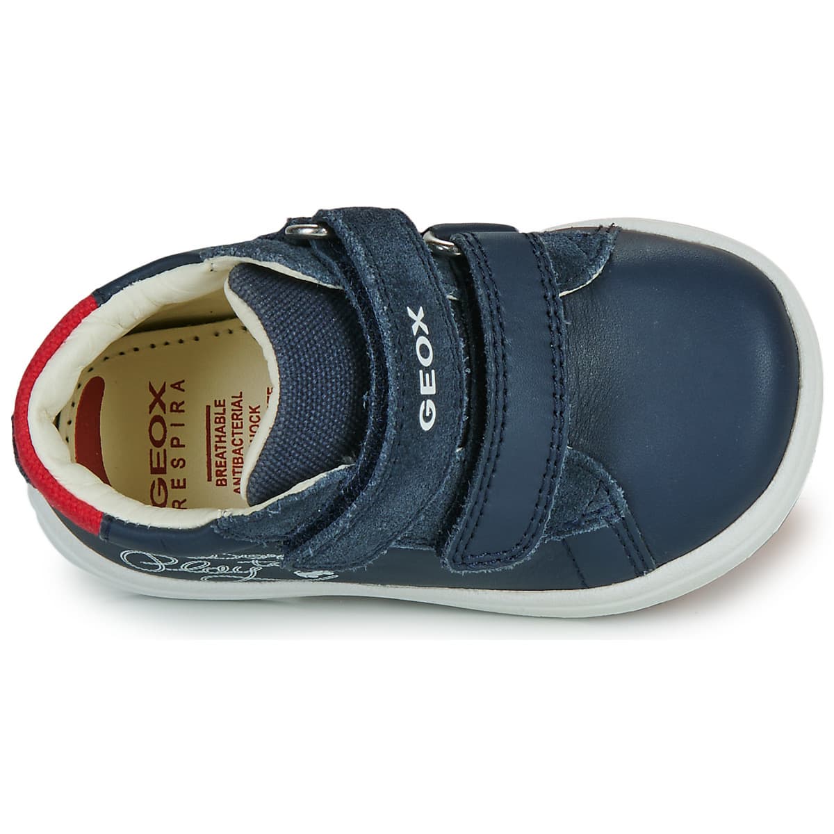 Boys' Sneakers Geox Blue