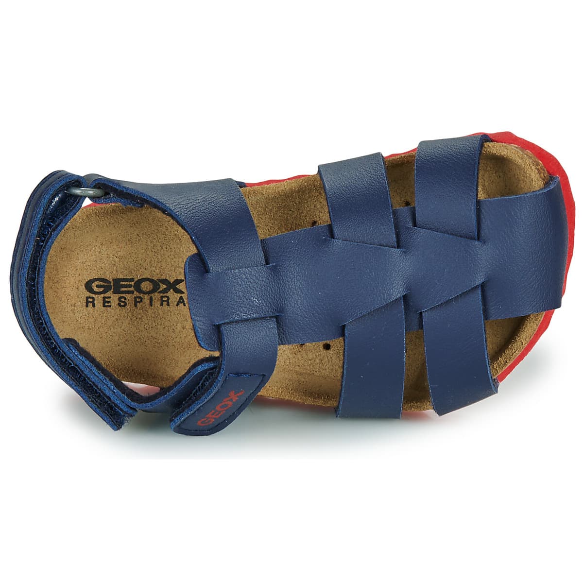 Boys' Sandals Geox Blue