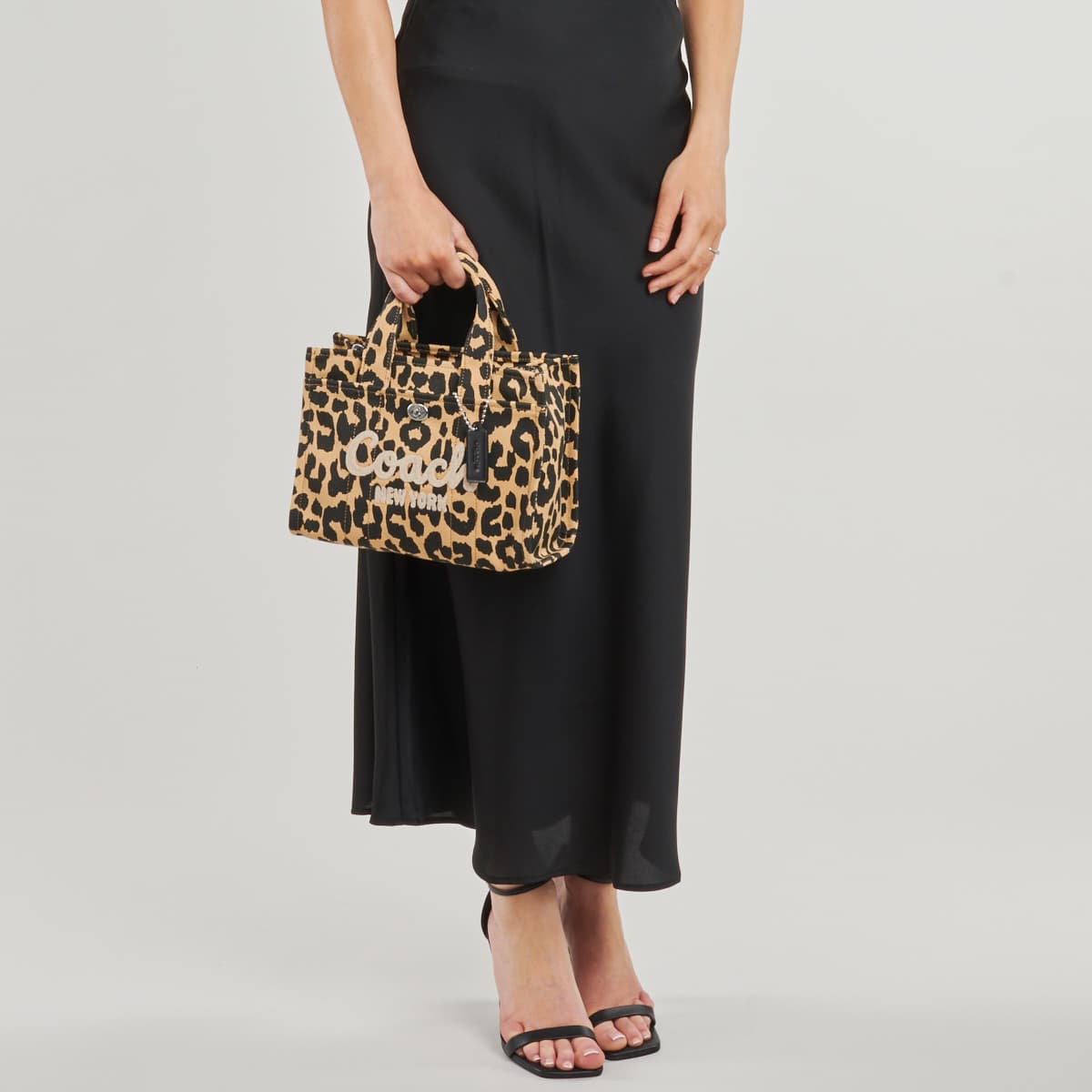 Women's Handbags Coach Multicolor