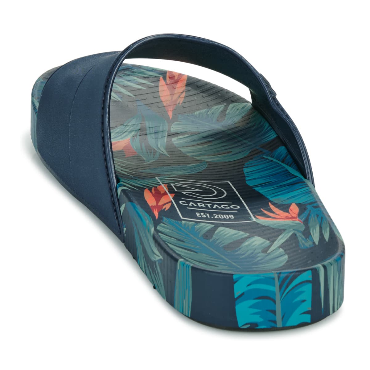 Men's Mules Ipanema Blue