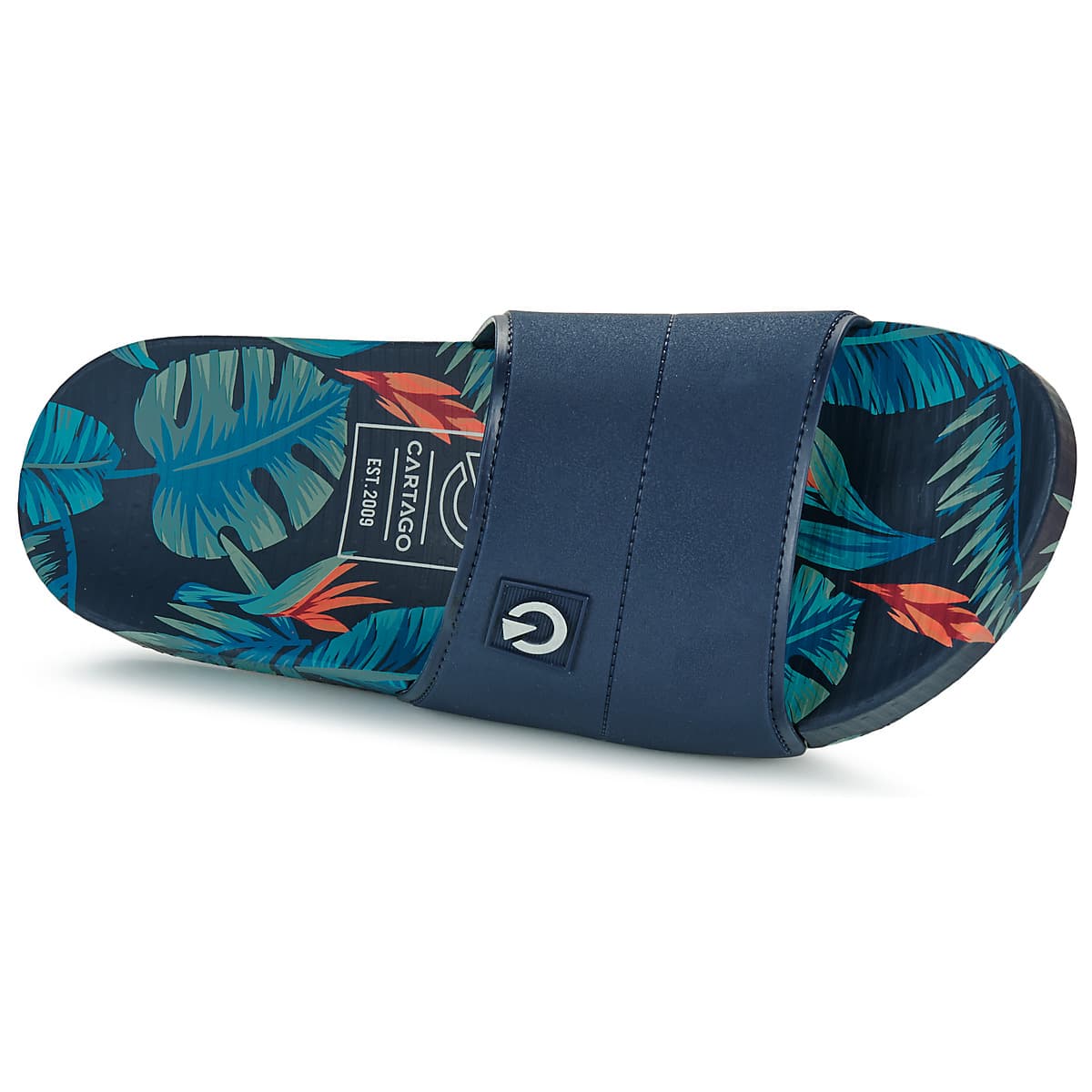 Men's Mules Ipanema Blue