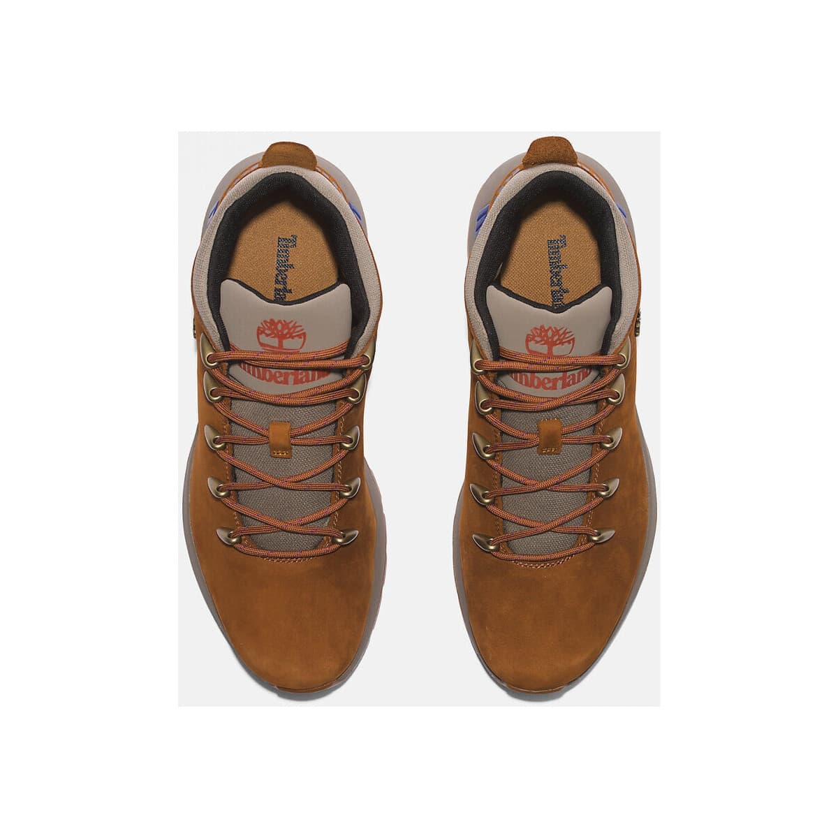 Men's Sneakers Timberland Brown