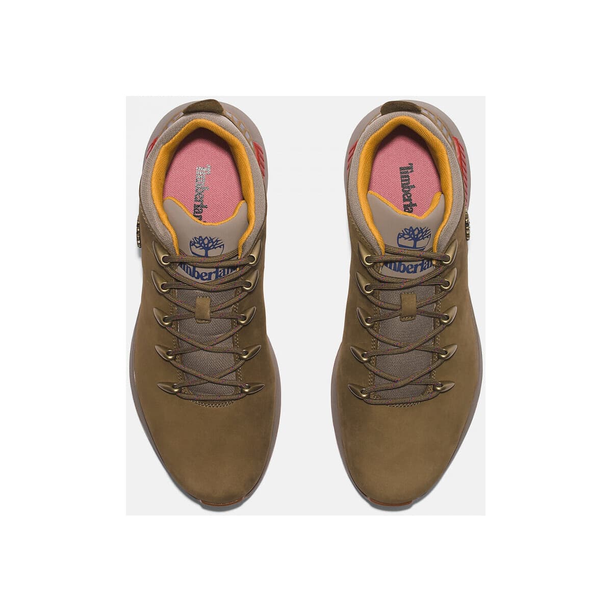 Men's Sneakers Timberland Green