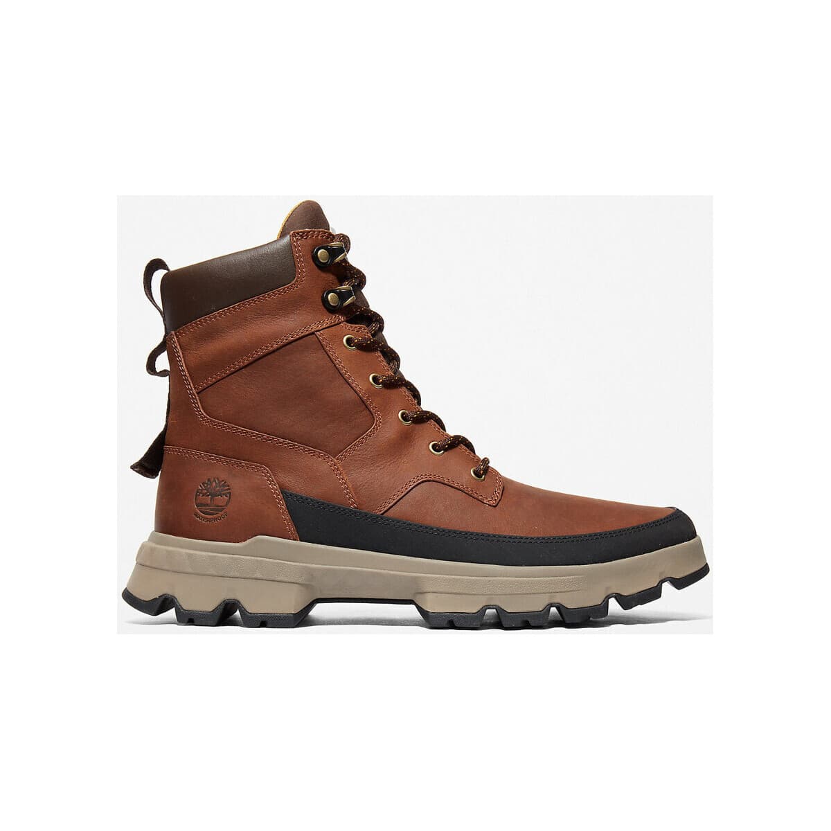 Men's Sneakers Timberland Brown