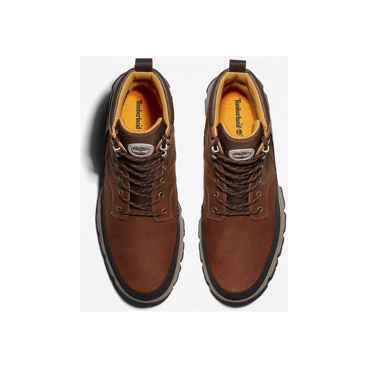 Men's Sneakers Timberland Brown