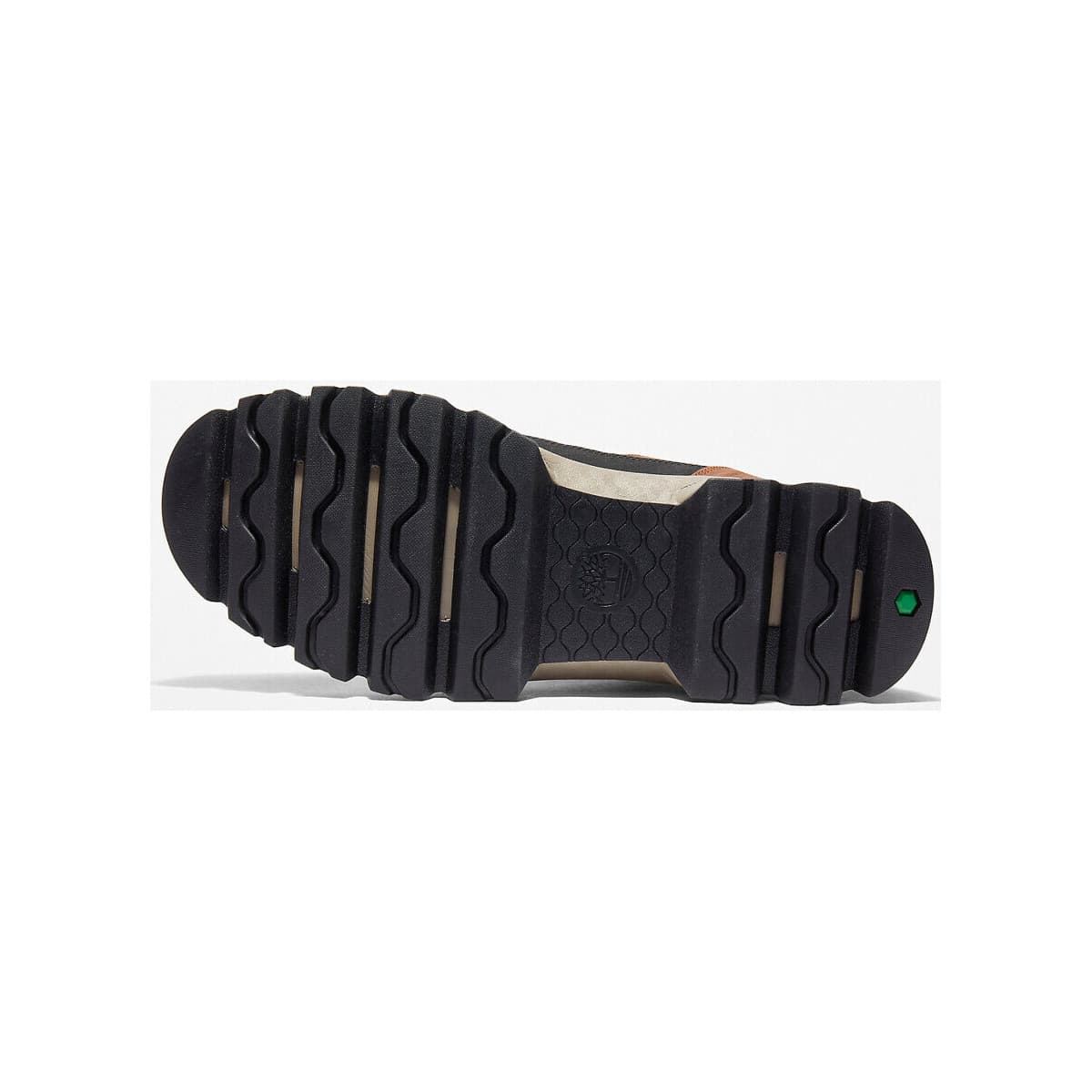 Men's Sneakers Timberland Brown