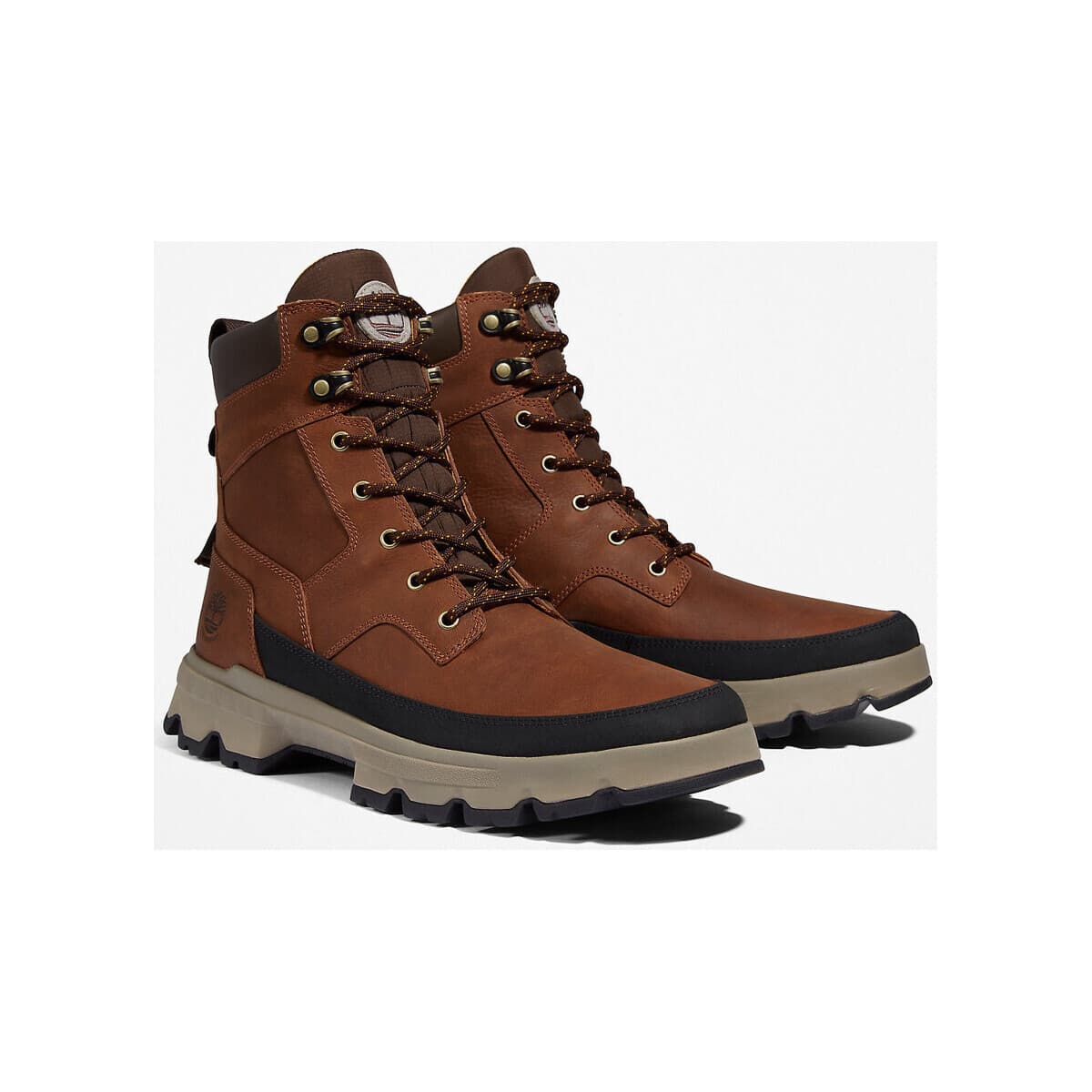 Men's Sneakers Timberland Brown