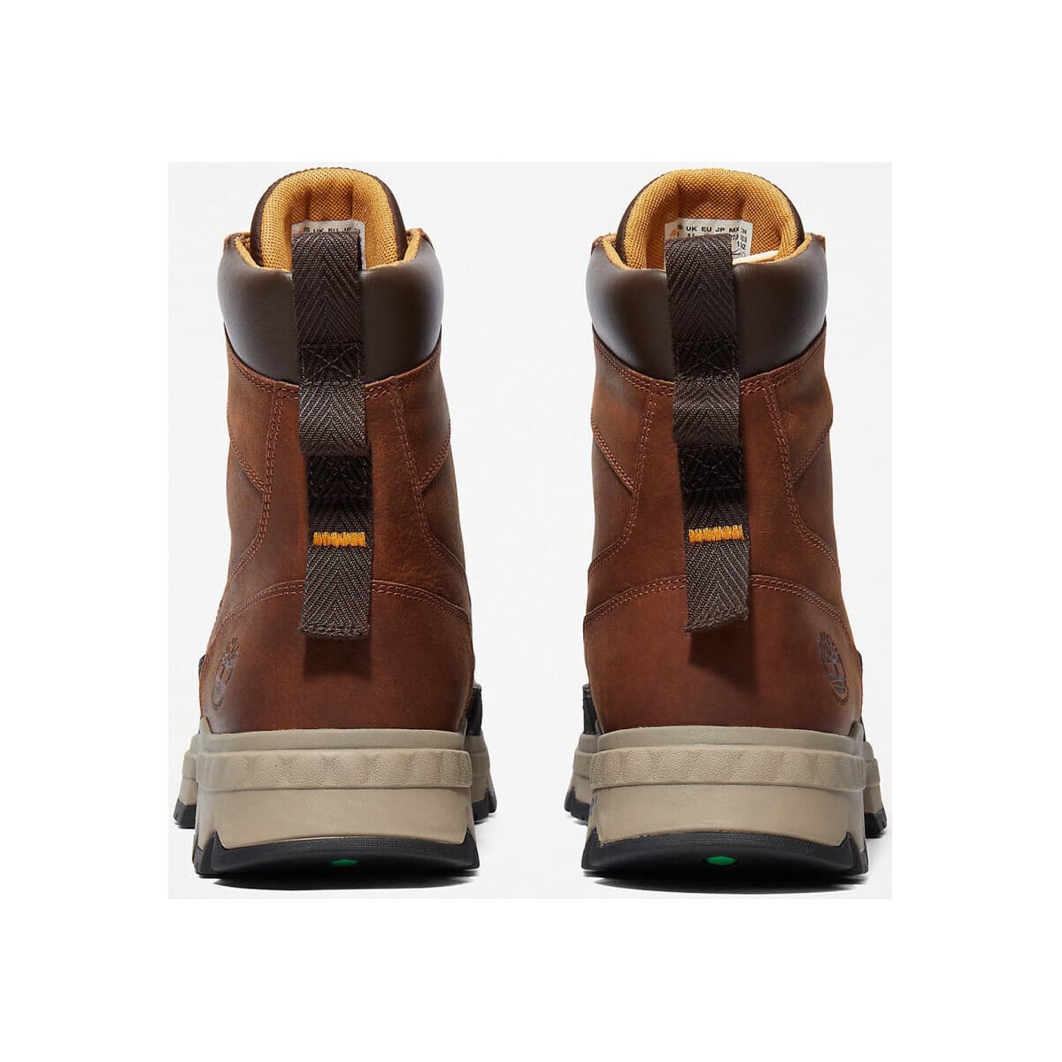 Men's Sneakers Timberland Brown