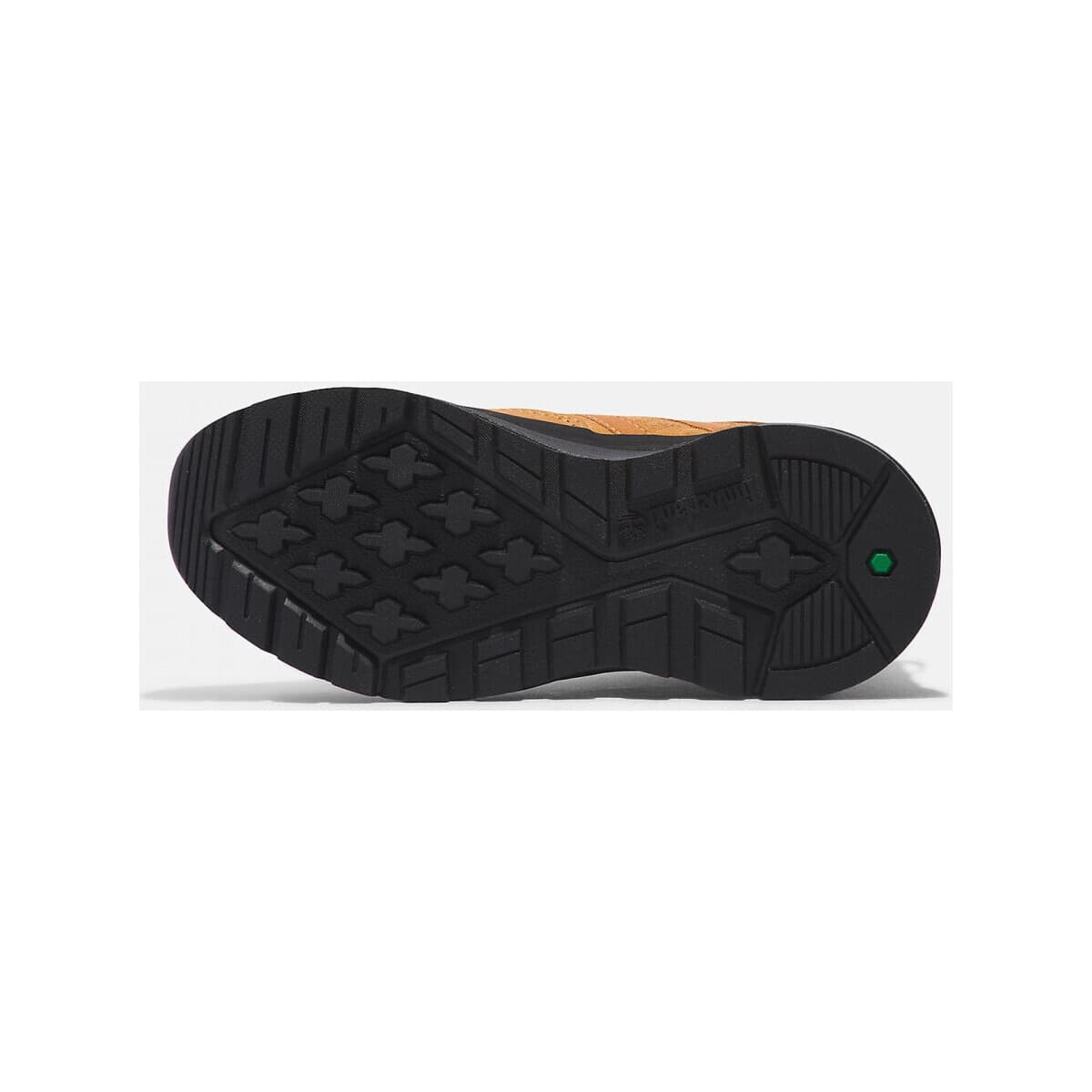 Boys' Sneakers Timberland Brown