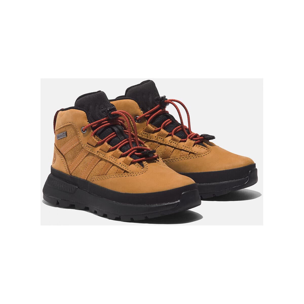 Boys' Sneakers Timberland Brown