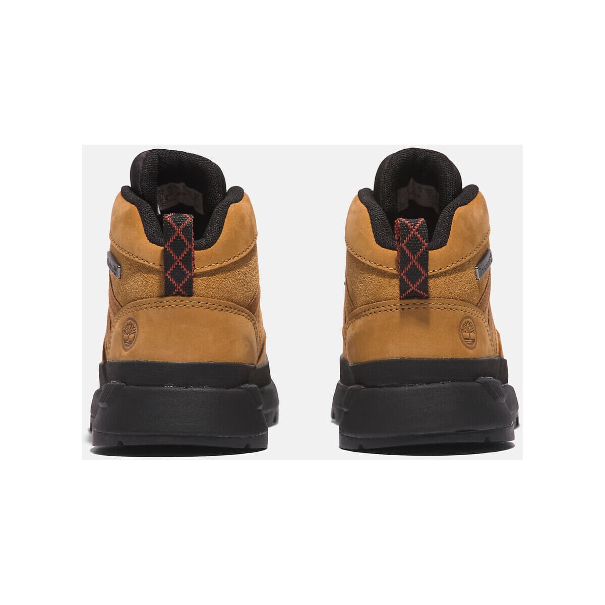 Boys' Sneakers Timberland Brown