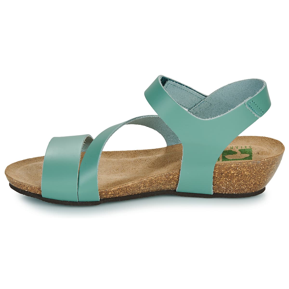 Women's Platforms Dream in Green Blue