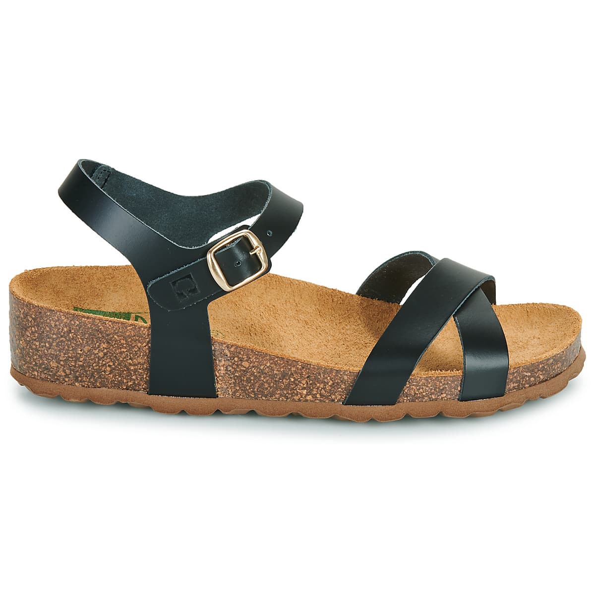 Women's Platforms Dream in Green Black