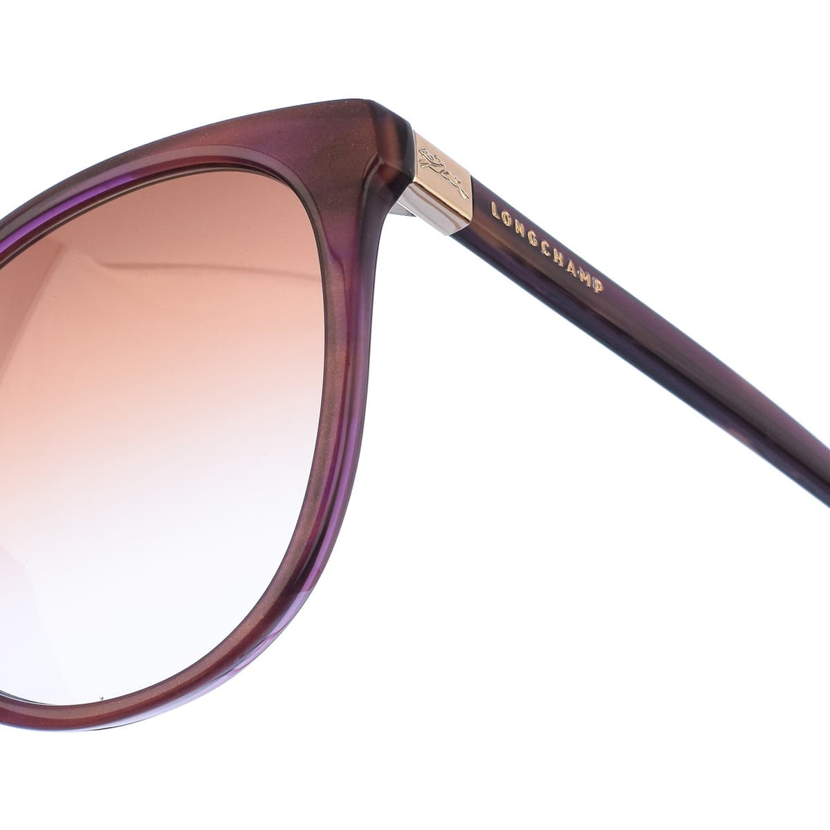 Women's Sunglasses Longchamp Brown