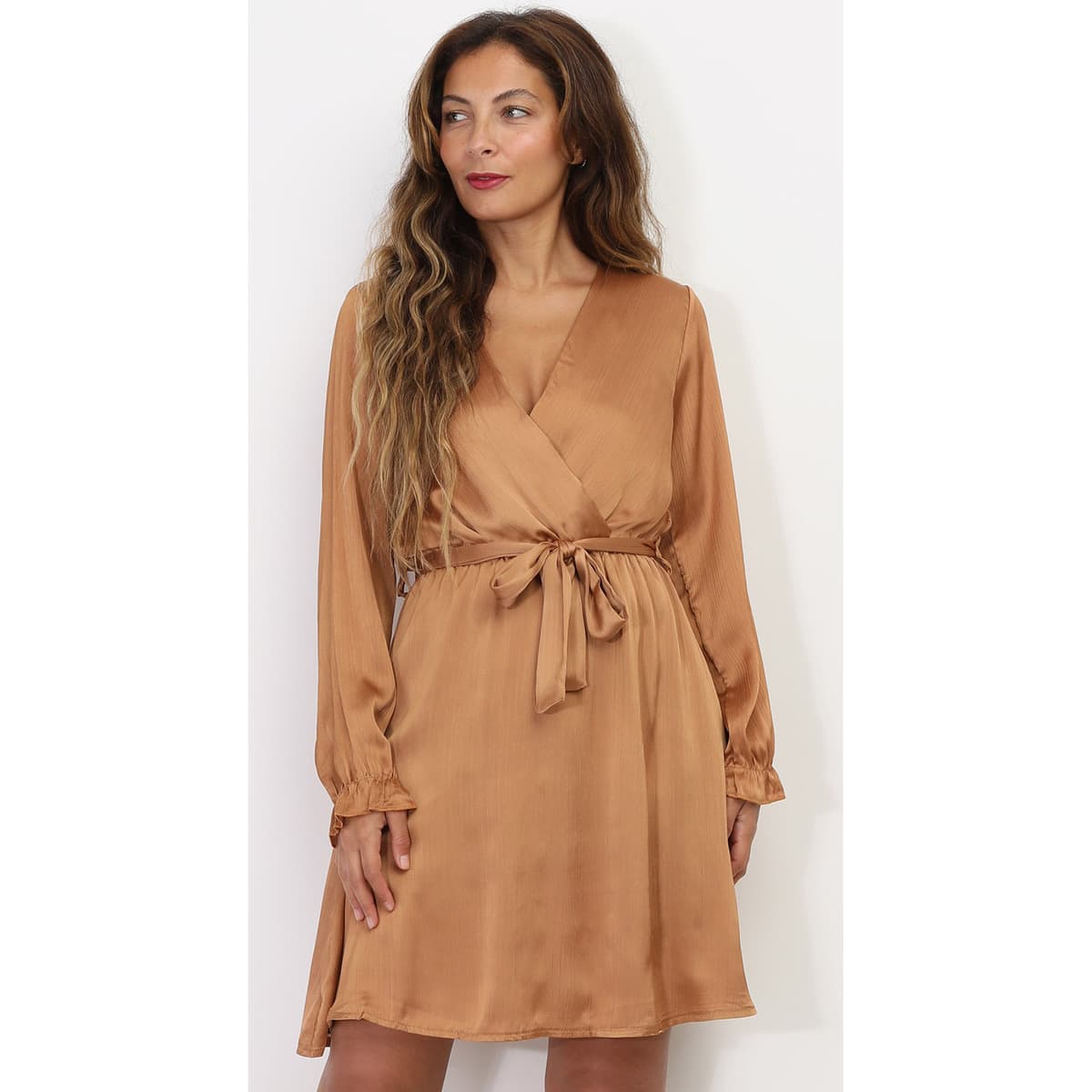 Women's Dresses La Modeuse Brown