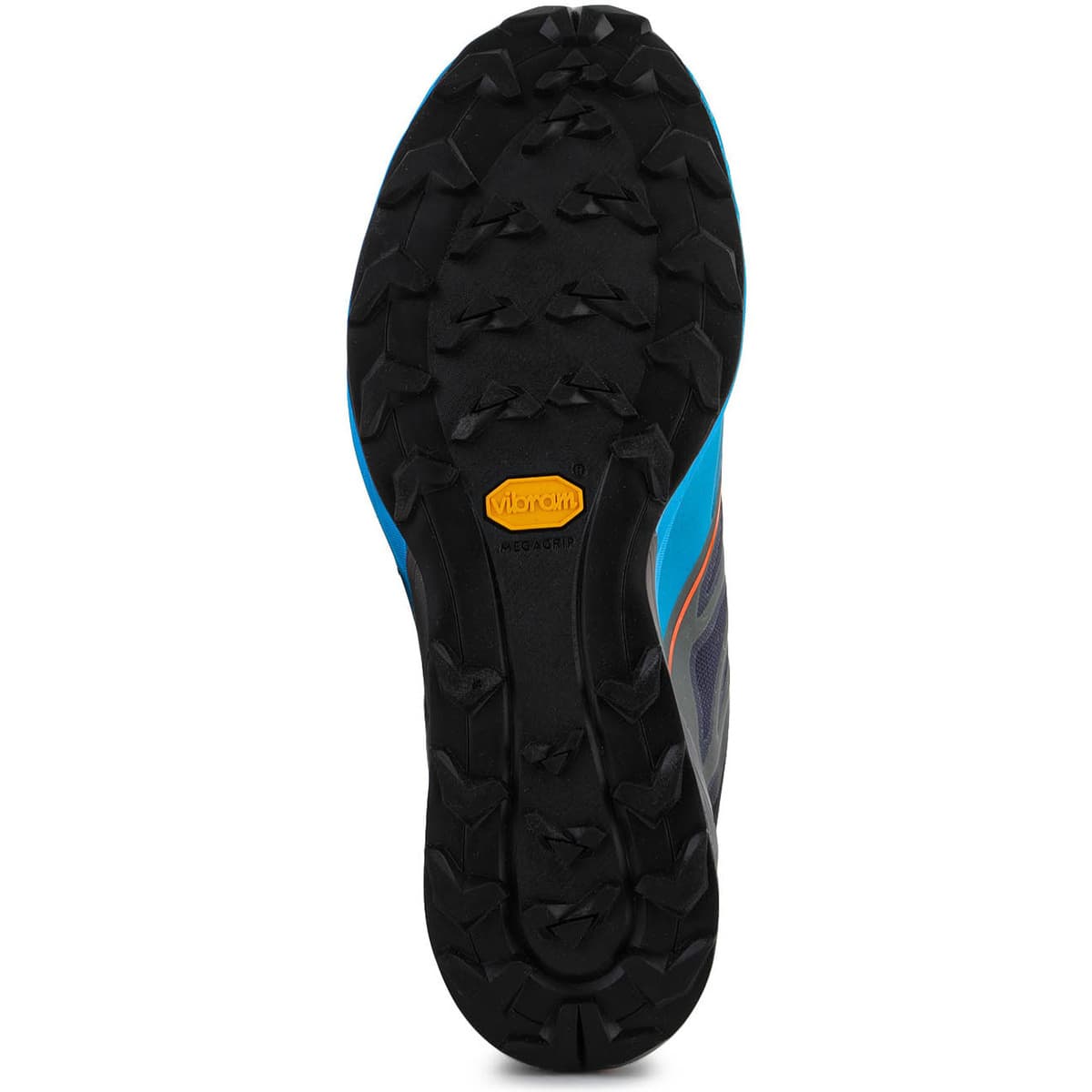 Men's Running Shoes Dynafit Multicolor