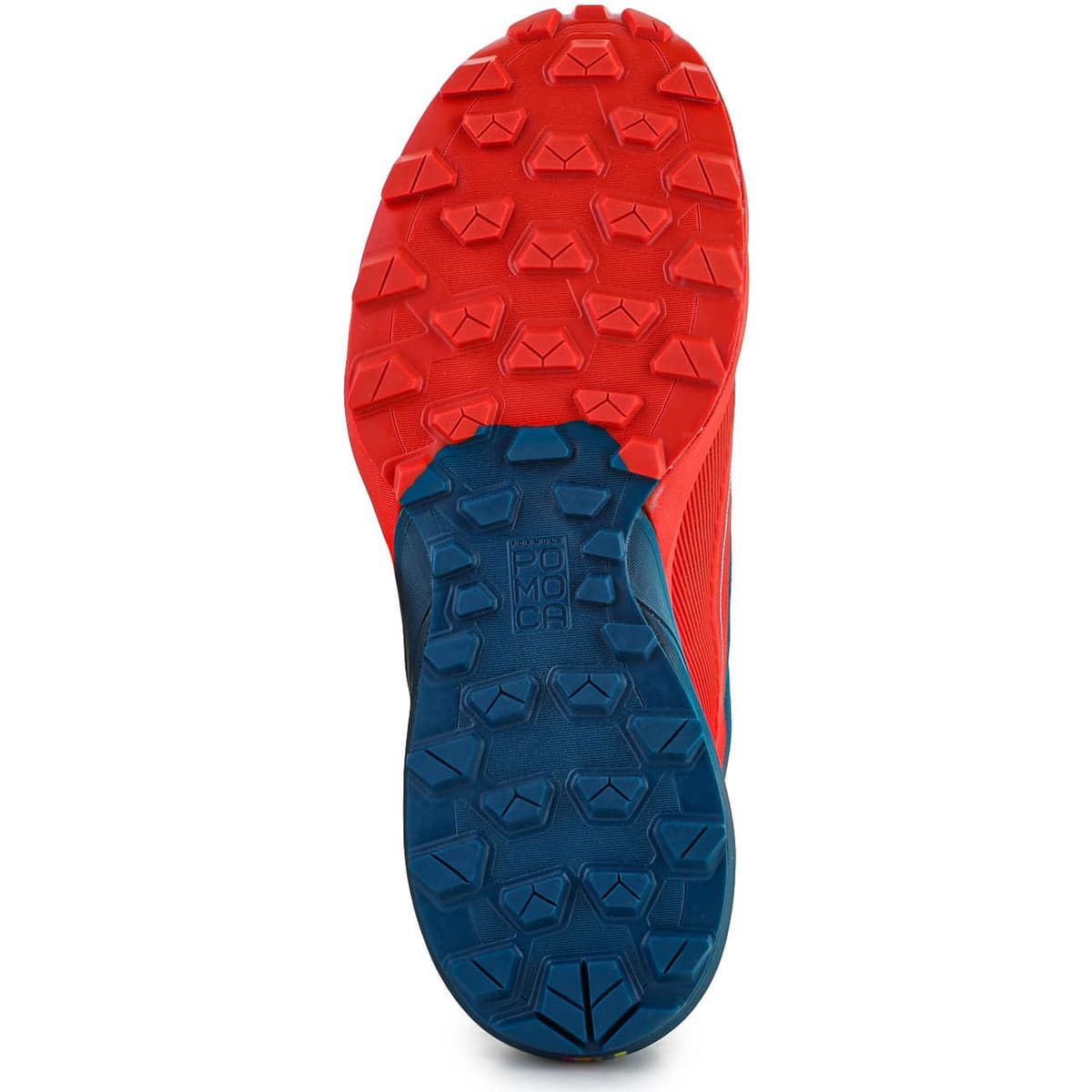 Men's Running Shoes Dynafit Multicolor