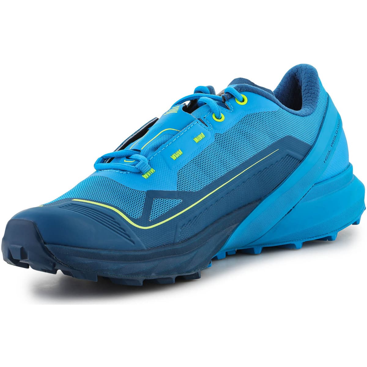 Men's Running Shoes Dynafit Blue