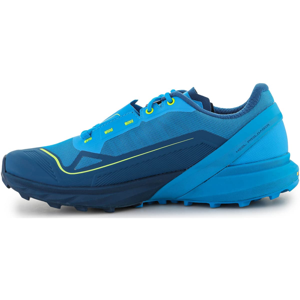 Men's Running Shoes Dynafit Blue