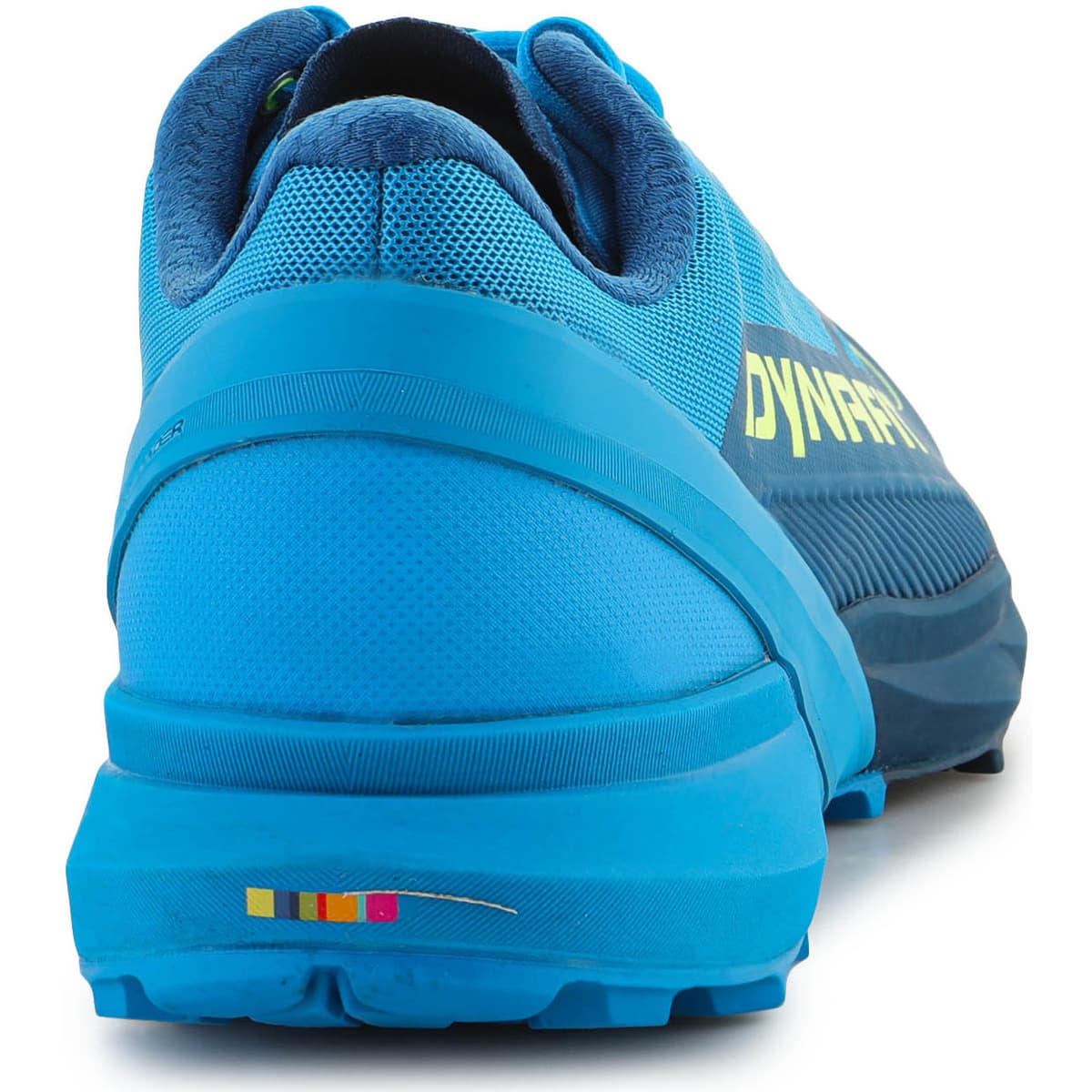 Men's Running Shoes Dynafit Blue