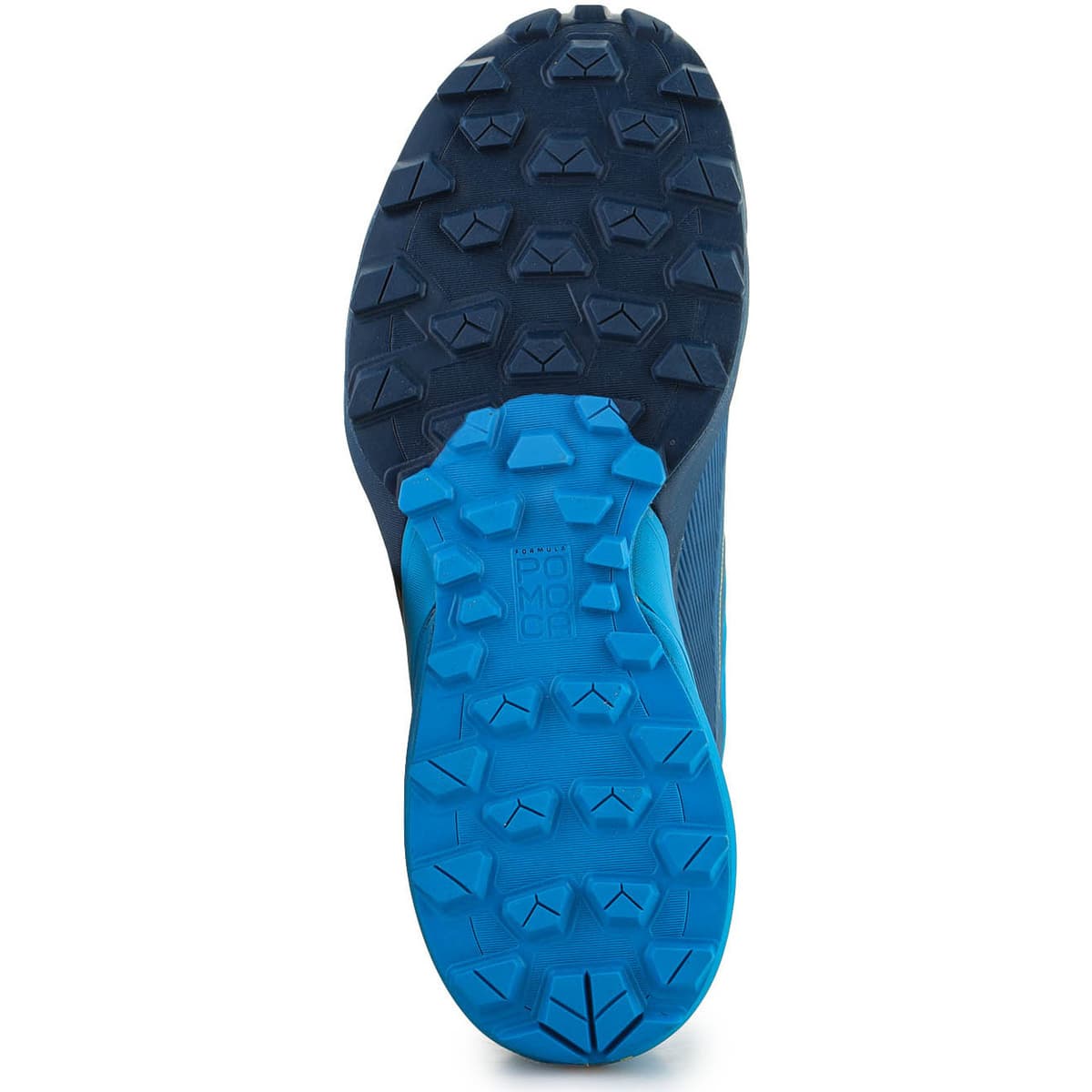 Men's Running Shoes Dynafit Blue