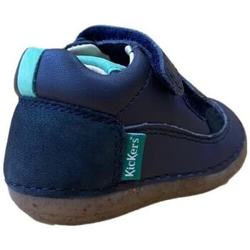 Boys' Shoes Kickers Multicolor