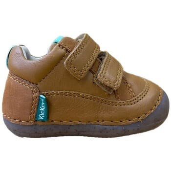Kickers SOSTANKRO 894563-10 Camel