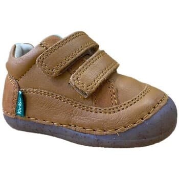 Women's Ballet Flats Kickers Multicolor