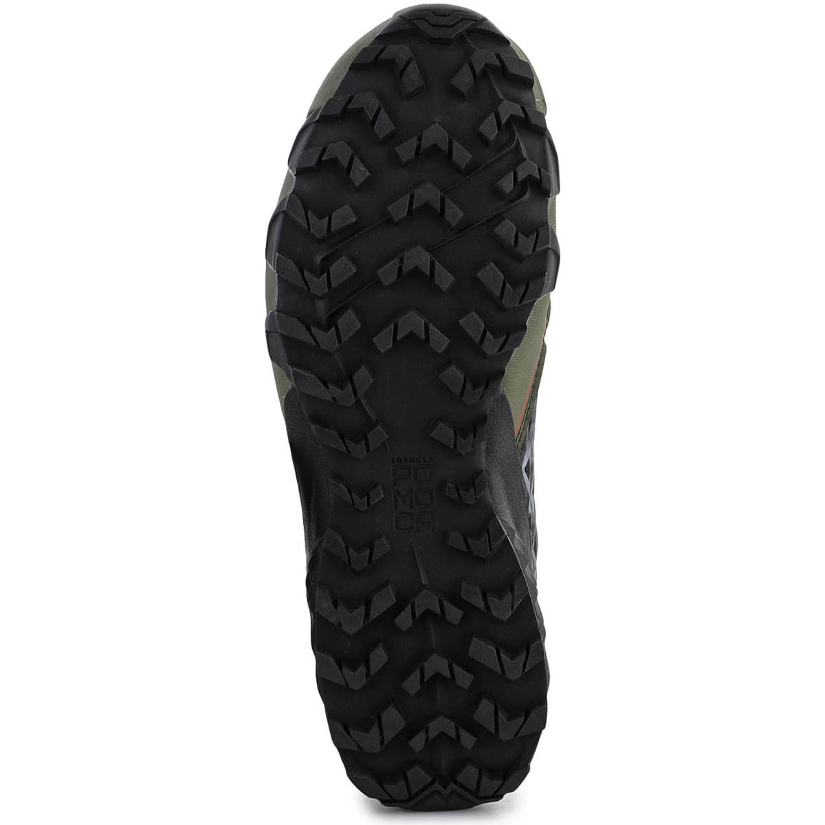 Men's Running Shoes Dynafit Green