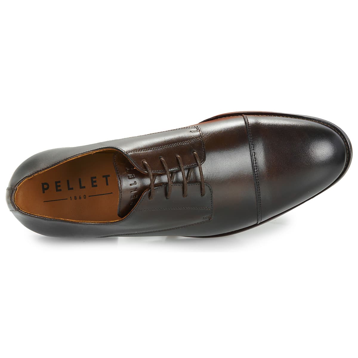 Men's Derby Shoes Pellet Brown