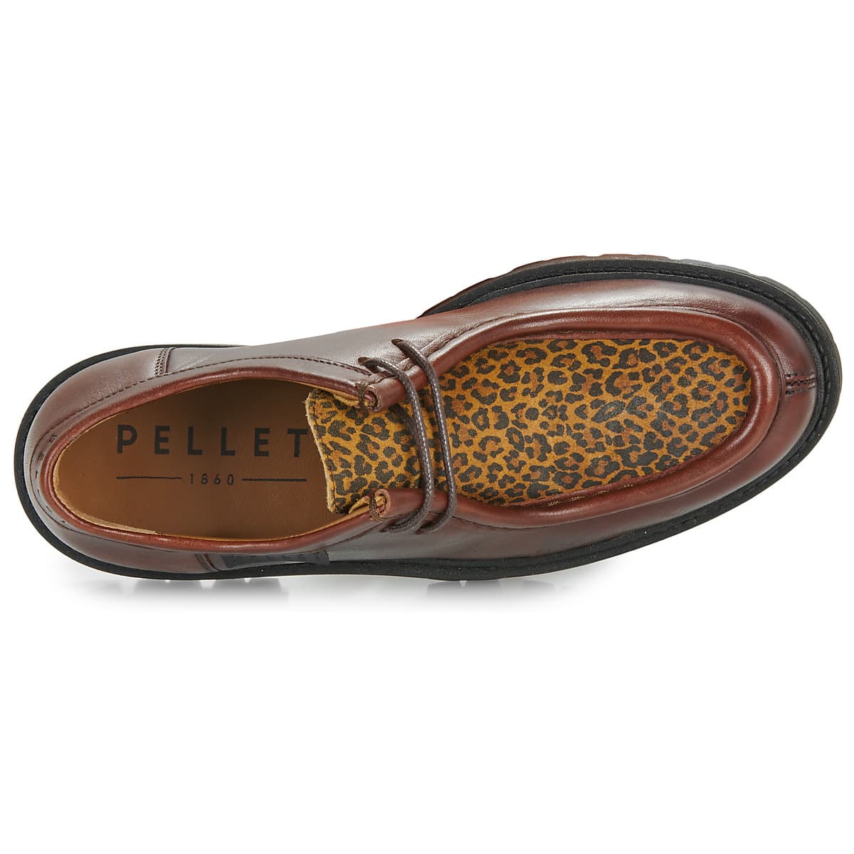 Women's Derby Shoes Pellet Brown