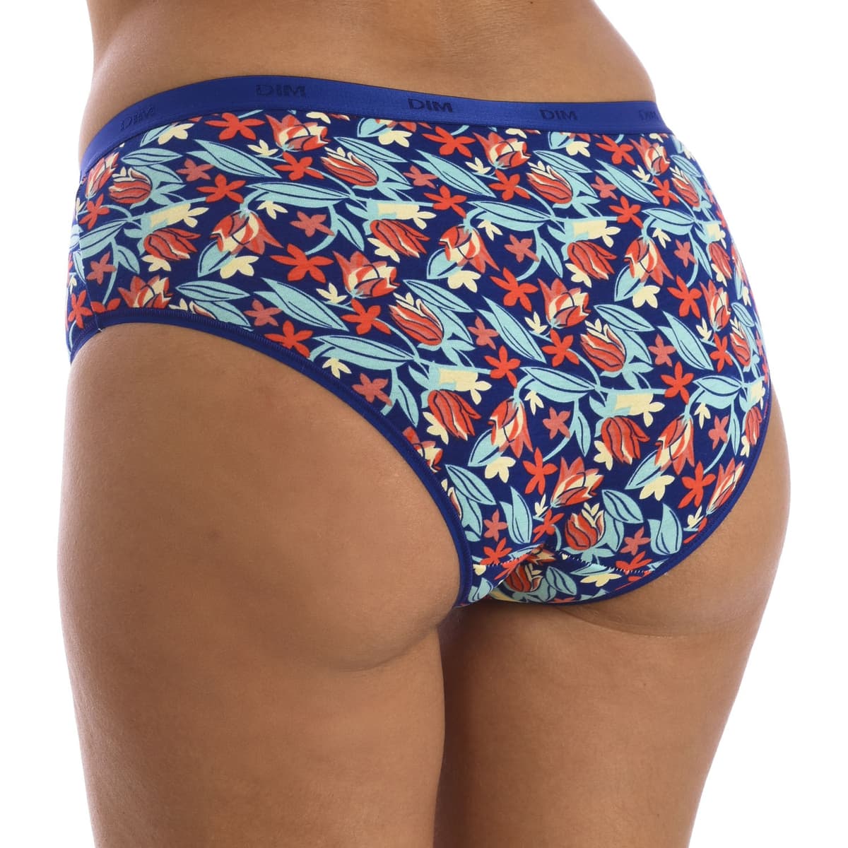 Women's Briefs DIM Multicolor