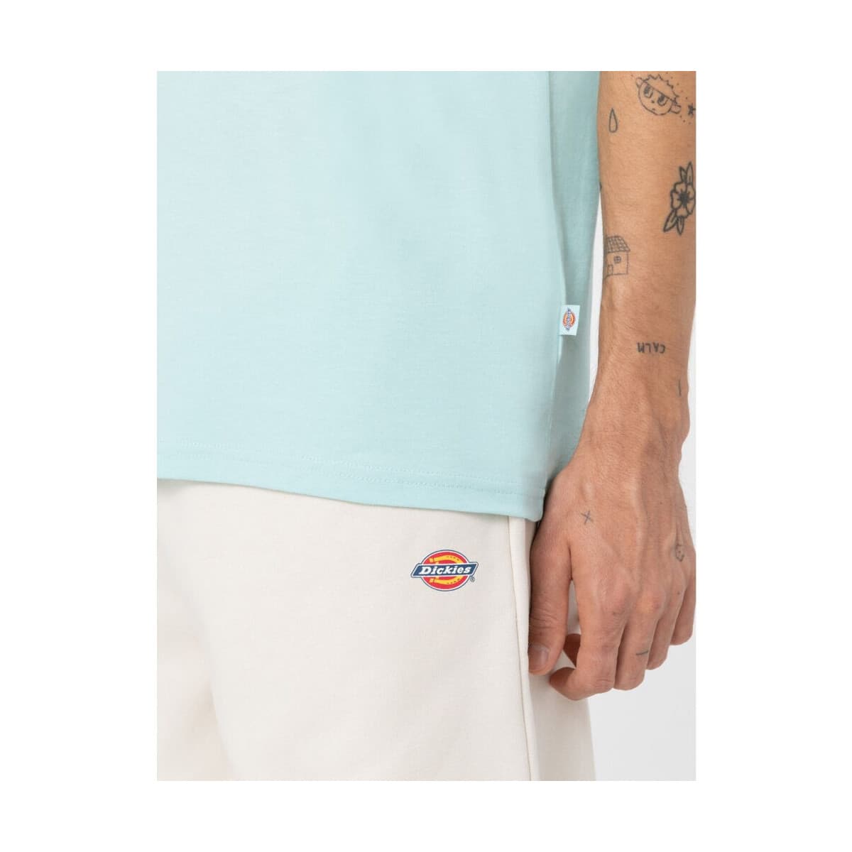 Men's T-Shirts Dickies Blue
