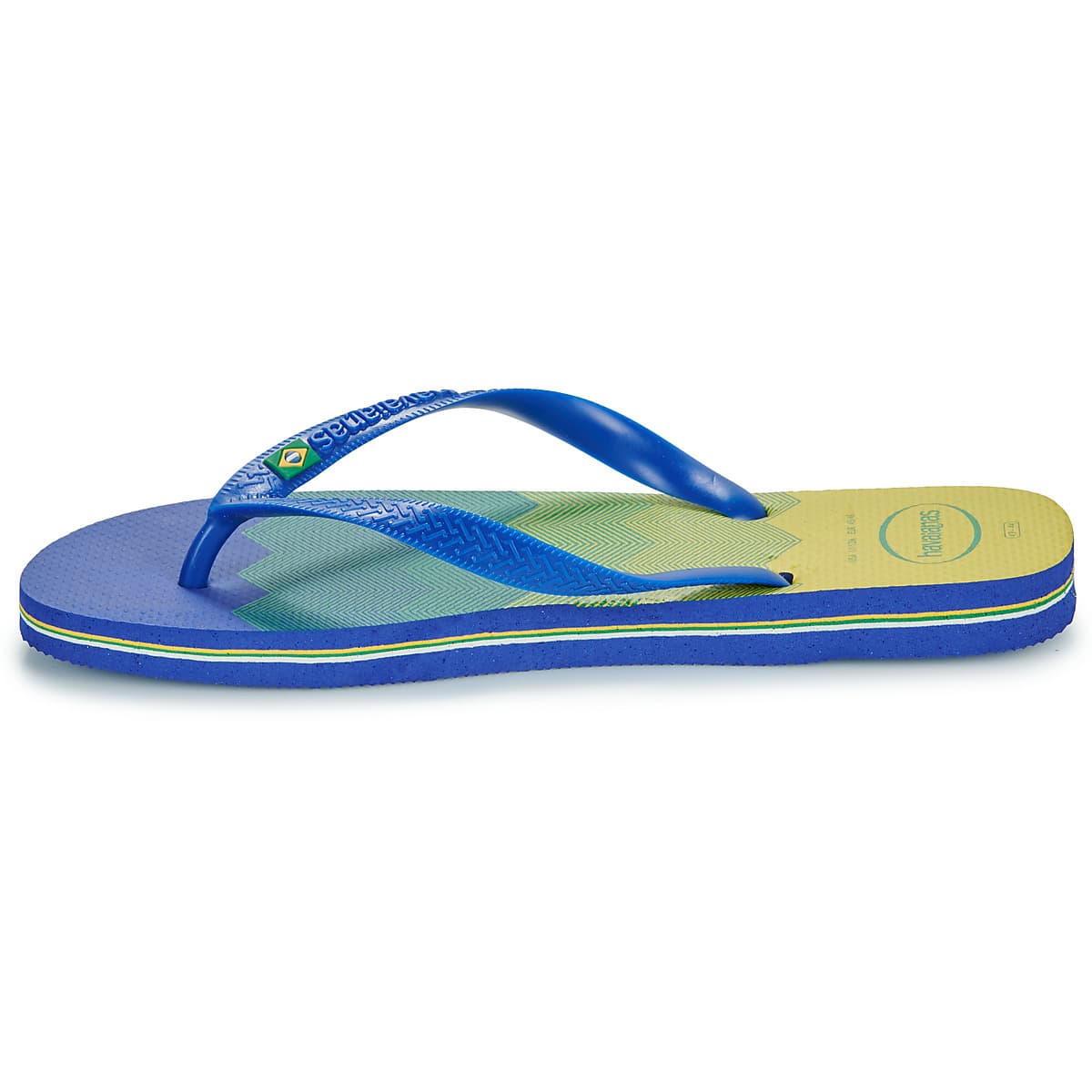 Men's Flip Flops Havaianas Blue
