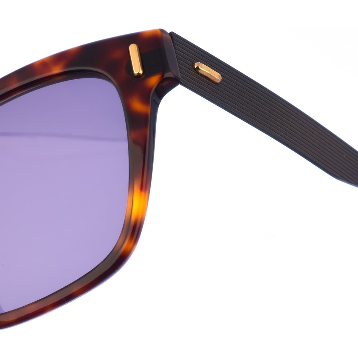 Men's Sunglasses Calvin Klein Brown