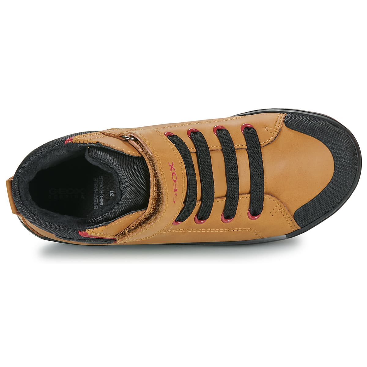 Boys' Sneakers Geox Brown