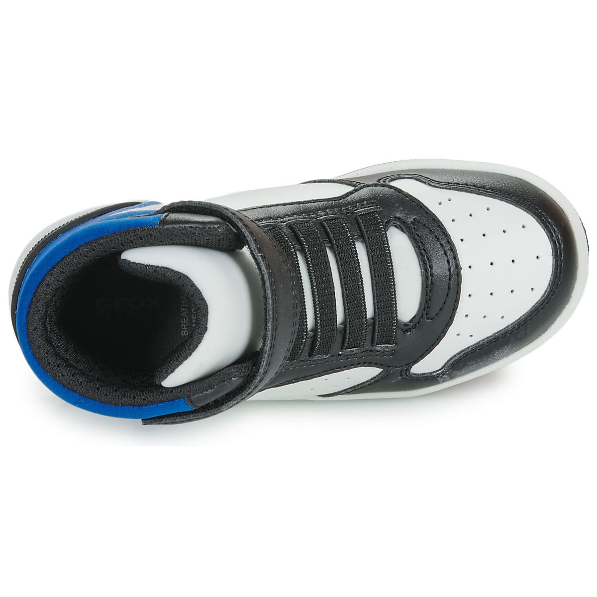 Boys' Sneakers Geox Black