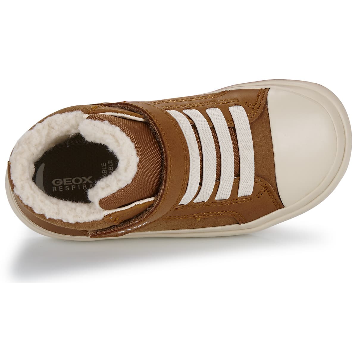 Boys' Sneakers Geox Brown