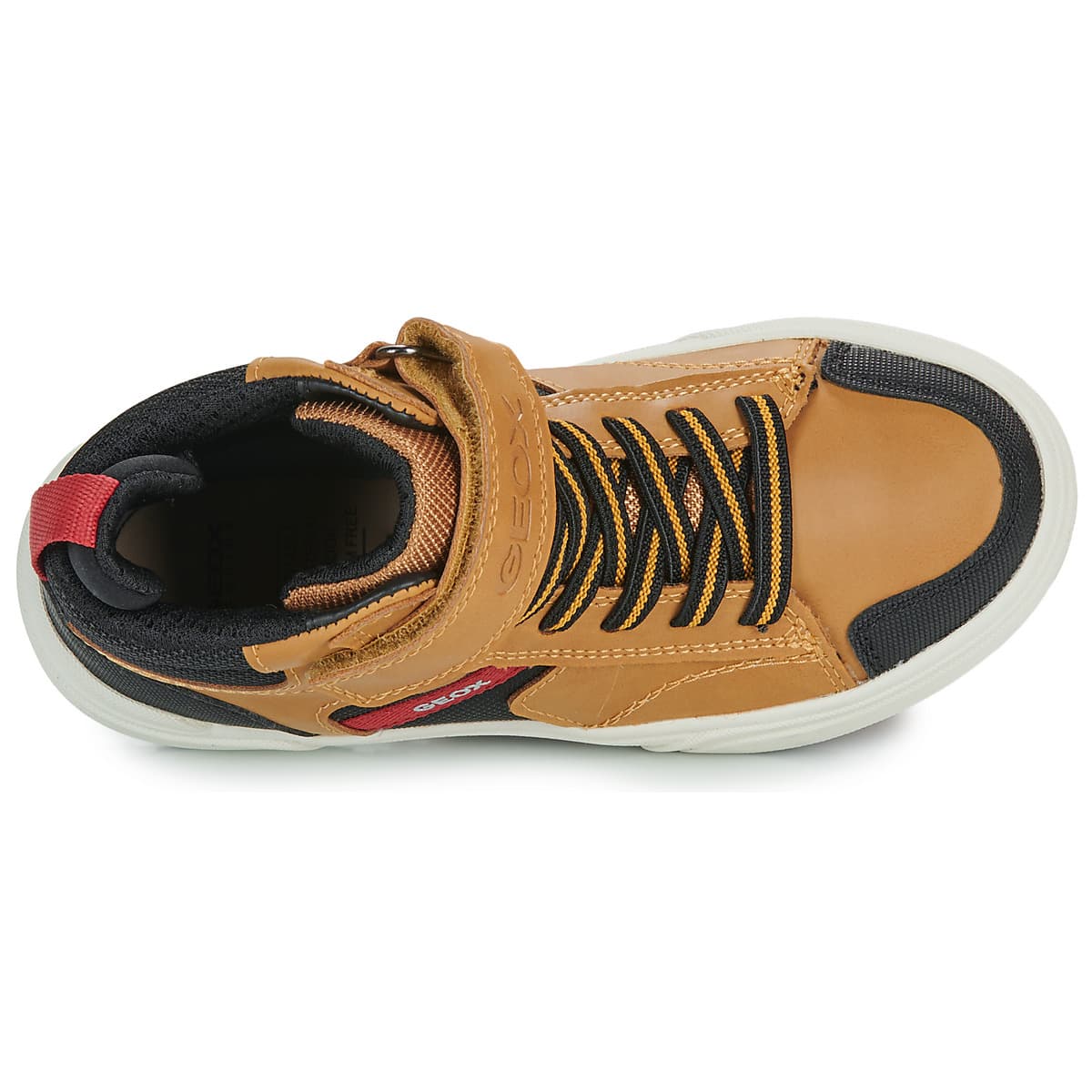 Boys' Sneakers Geox Brown