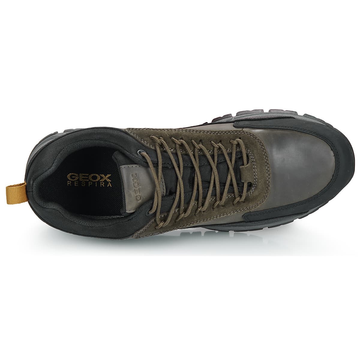 Men's Sneakers Geox Khaki