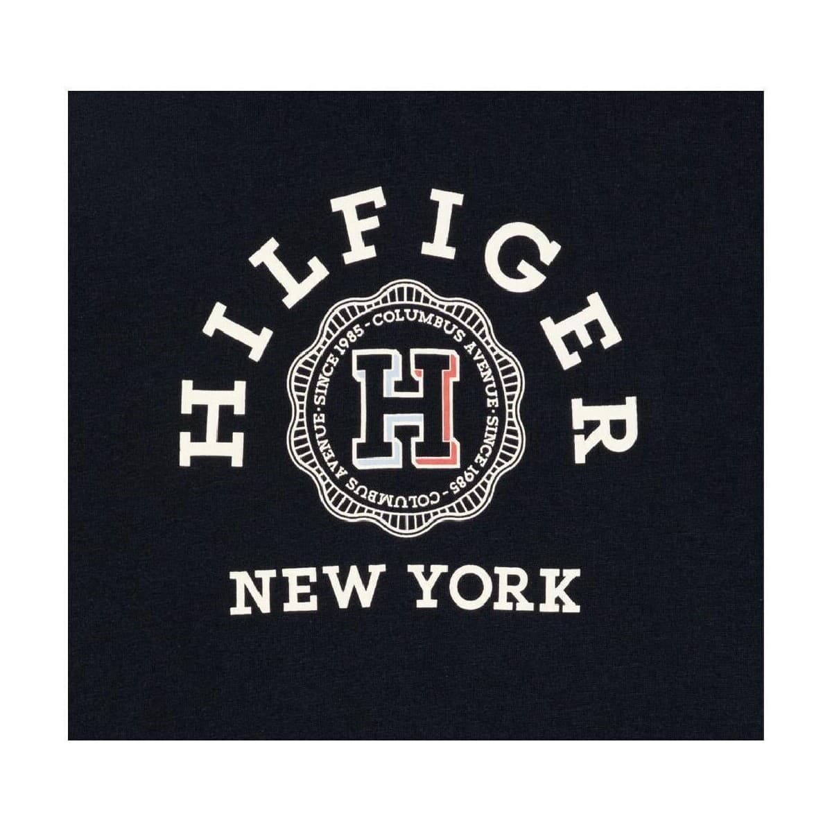 Boys' T-Shirts Tommy Hilfiger Blue