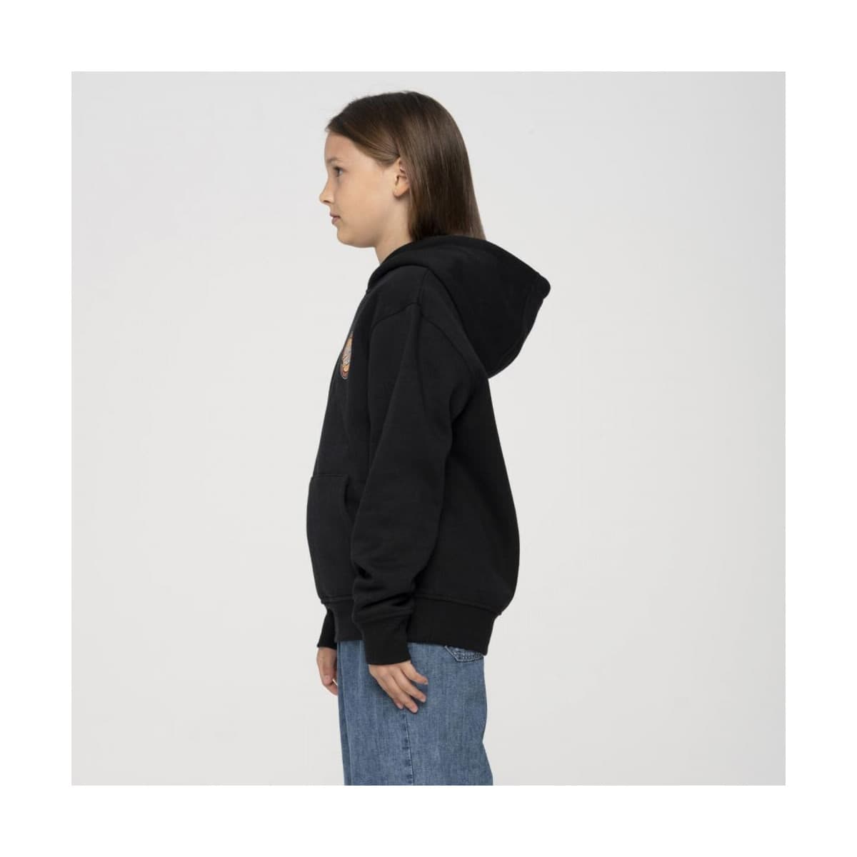 Boys' Hoodies & Sweatshirts Santa Cruz Black