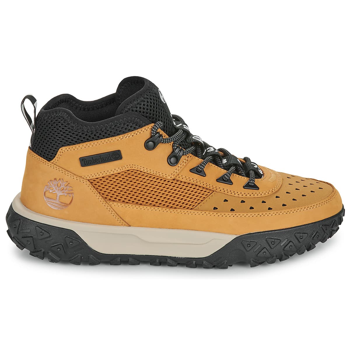 Men's Sneakers Timberland Brown