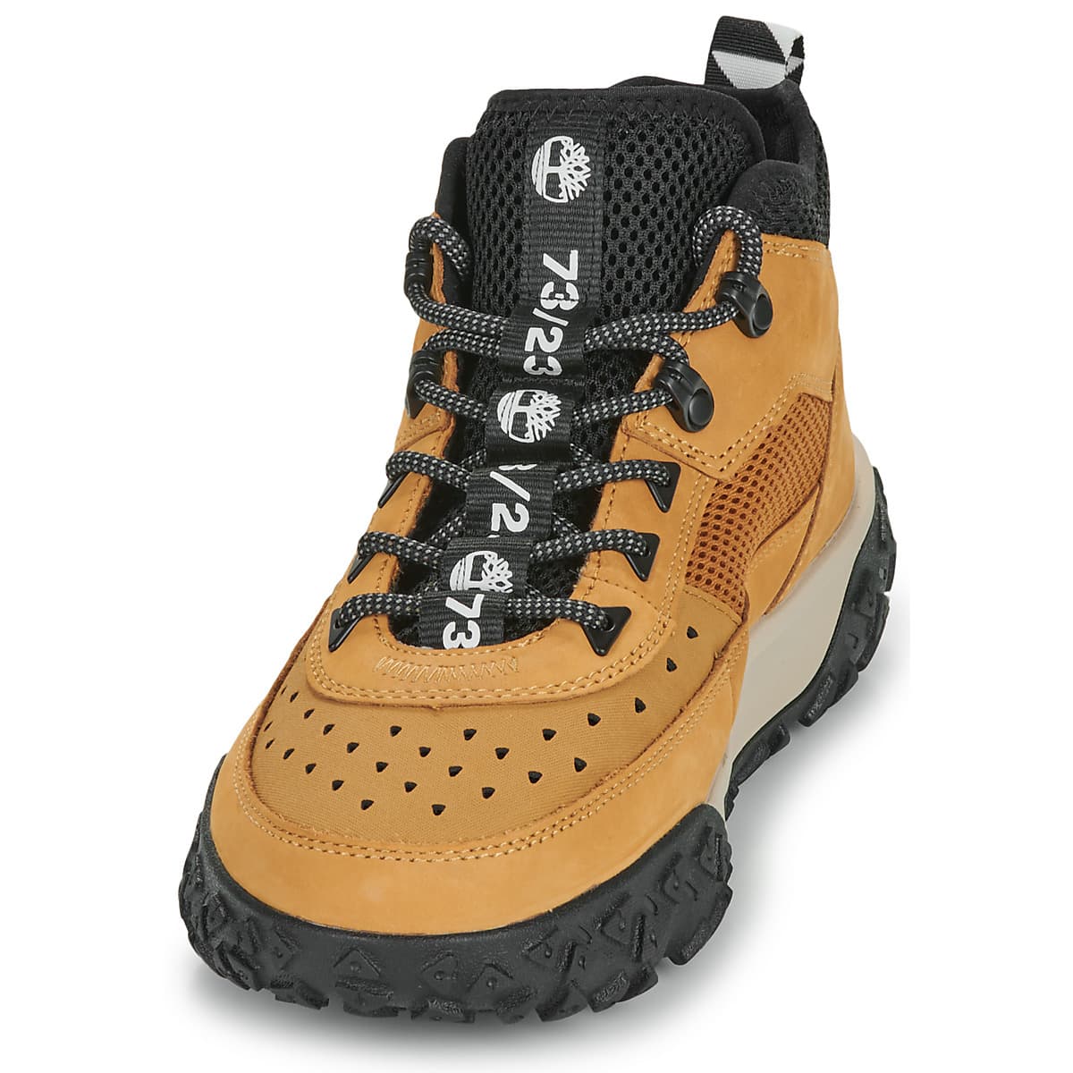 Men's Sneakers Timberland Brown